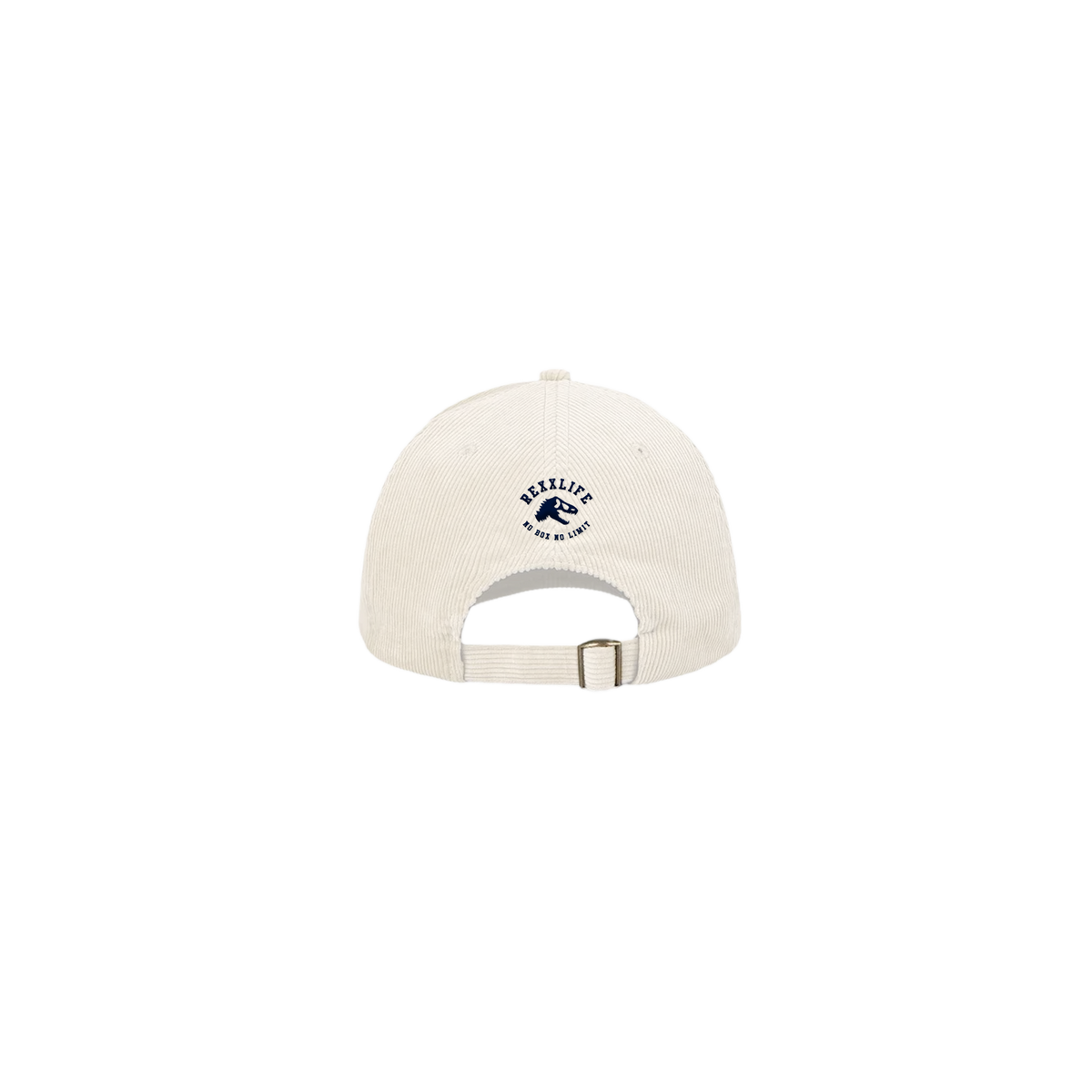 DAD Hat