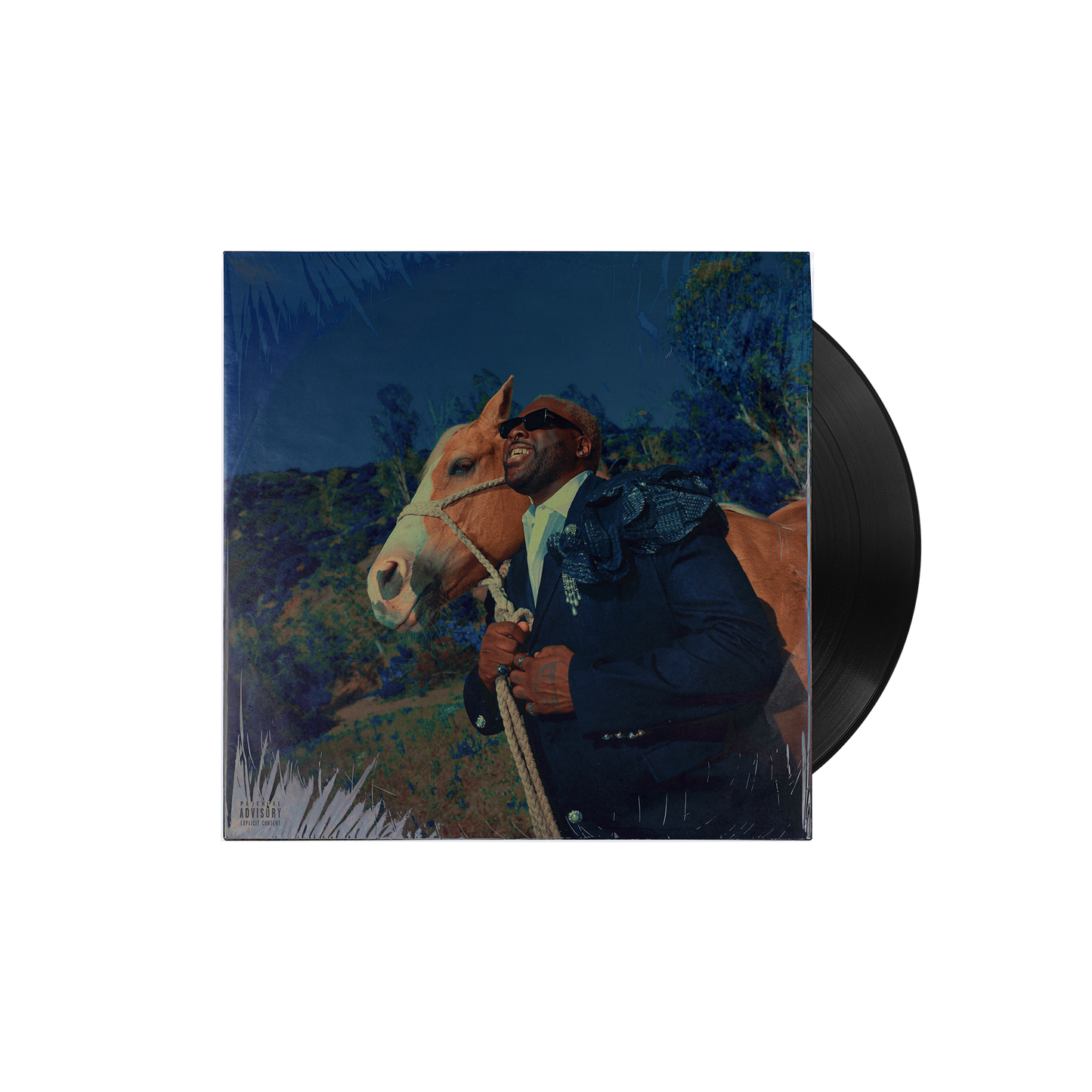 In Rhythm Vinyl (Unsigned)