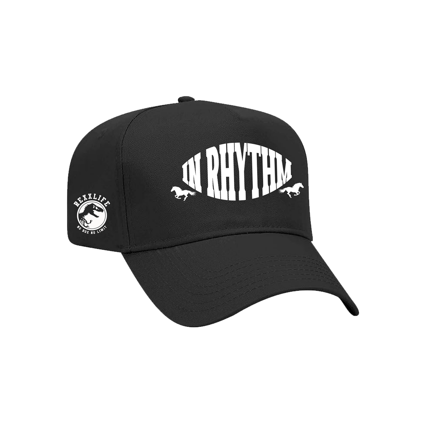 IN RHYTHM BLACK SNAPBACK